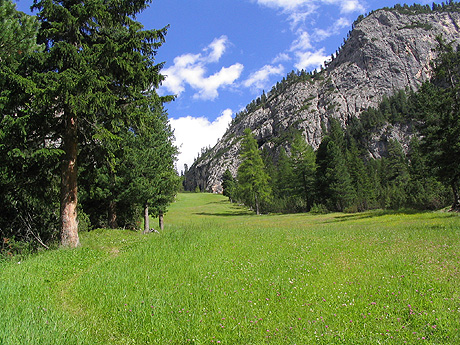 Alpine field alta badia photo