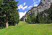 Alpine Field Alta Badia